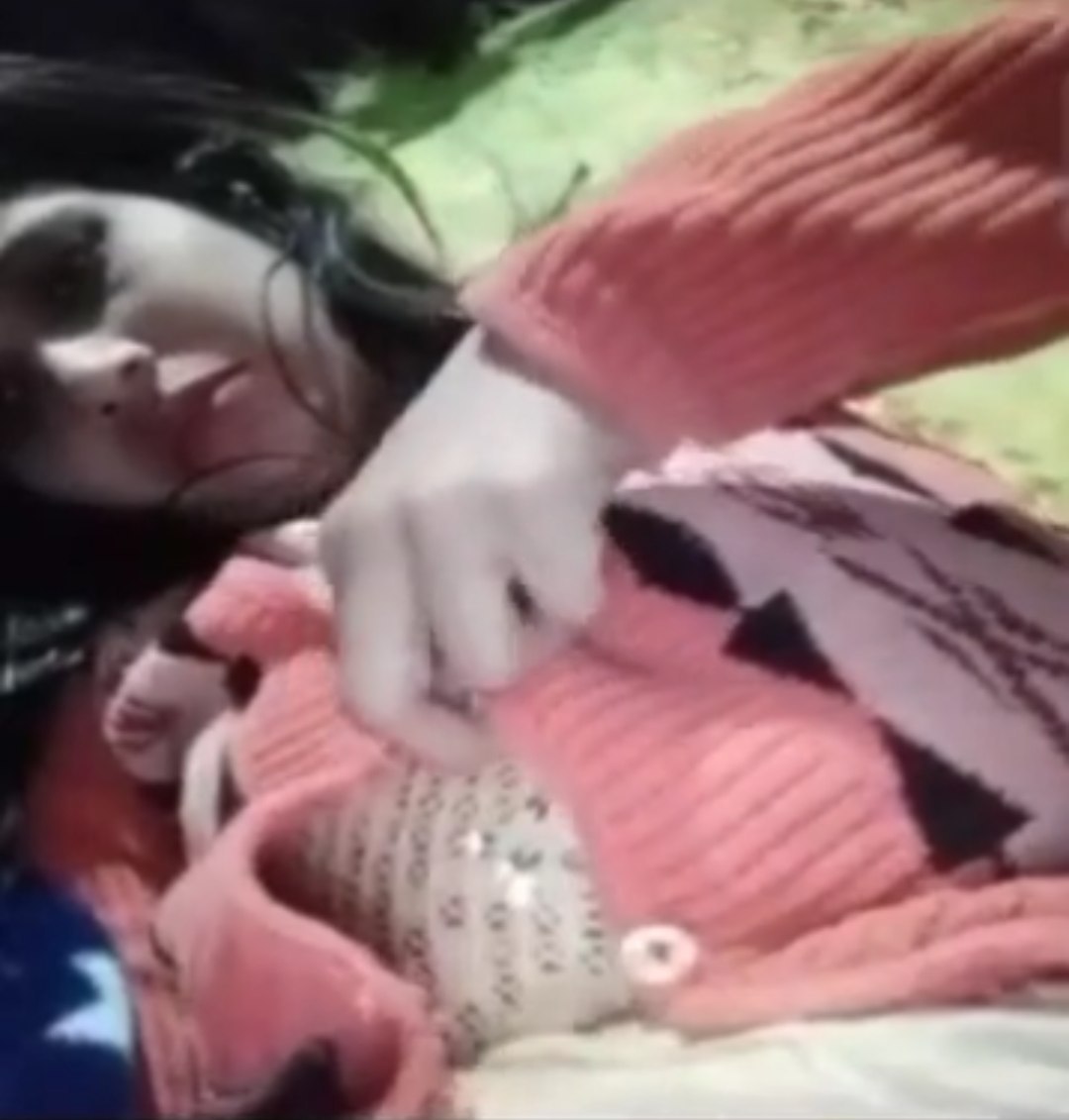 Desi bhabhi_MdiskVideo_165d2a19e9a384.jpg